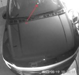 IMG_0537.jpeg